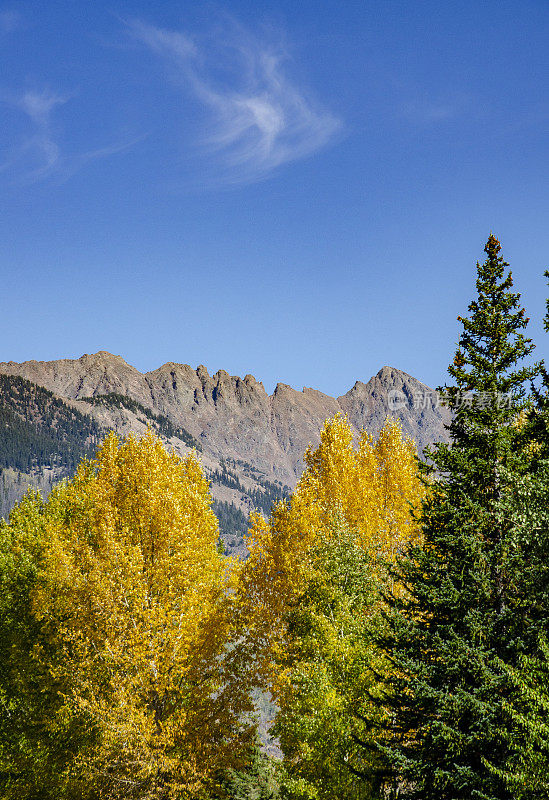 Vail Pass和Vail山在Vail，科罗拉多州与金杨在前景